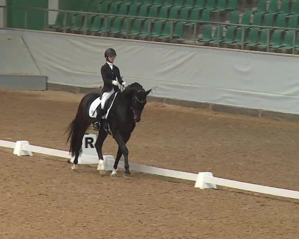 Reitturnier Kreuth/Opf. 2022
