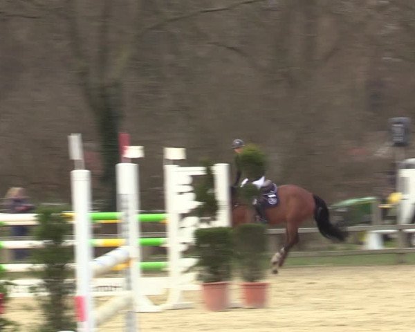 Reitturnier Münster-Handorf | Late Entries 2022