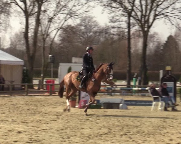 Reitturnier Münster-Handorf | Late Entries 2022