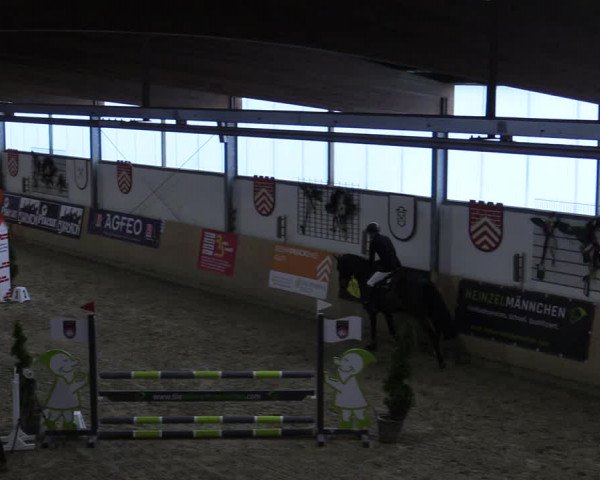 Reitturnier Borgholzhausen-Westbarthausen 2022