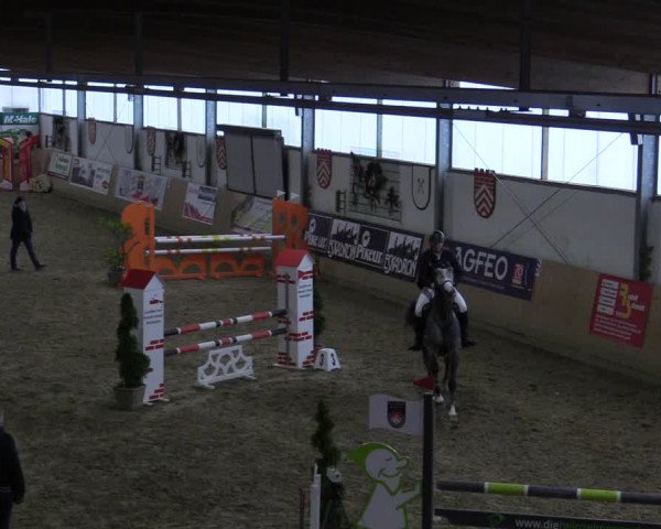 Reitturnier Borgholzhausen-Westbarthausen 2022