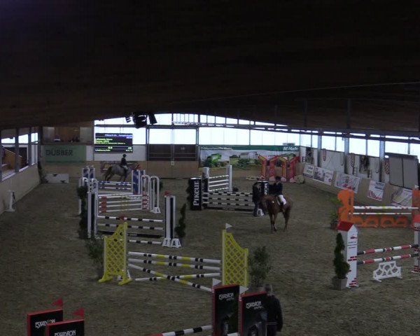 Reitturnier Borgholzhausen-Westbarthausen 2022