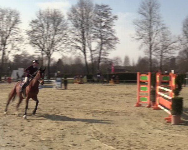 Reitturnier Münster-Handorf | Late Entries 2022