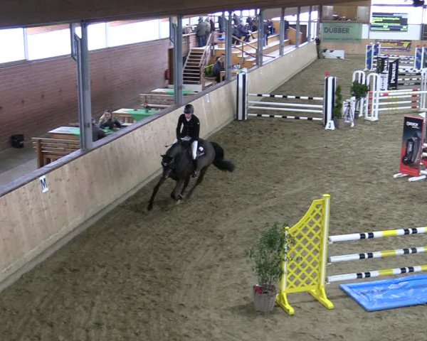 Reitturnier Borgholzhausen-Westbarthausen 2022