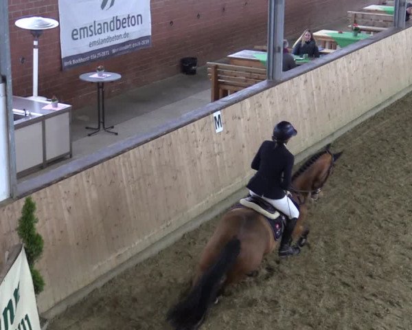 Reitturnier Borgholzhausen-Westbarthausen 2022