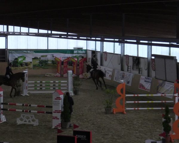 Reitturnier Borgholzhausen-Westbarthausen 2022