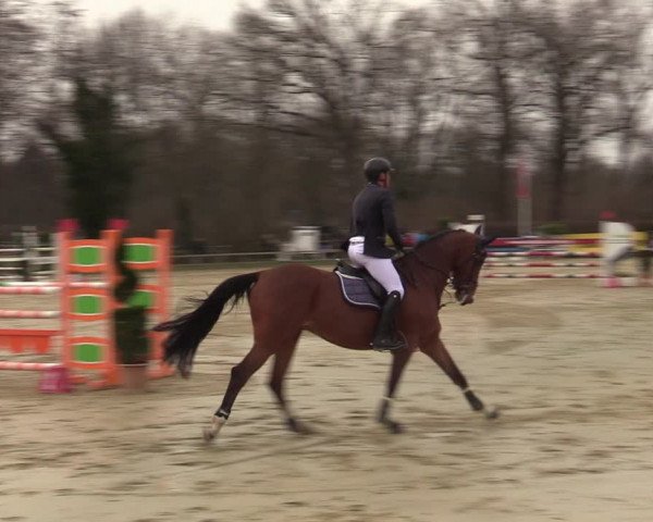 Reitturnier Münster-Handorf | Late Entries 2022