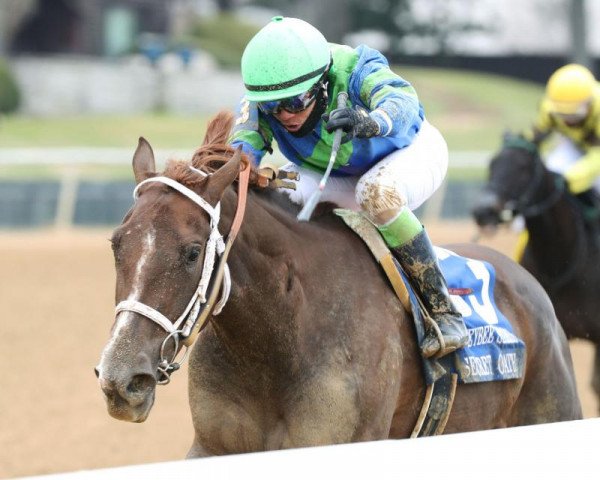 broodmare Secret Oath xx (Thoroughbred, 2019, from Arrogate xx)