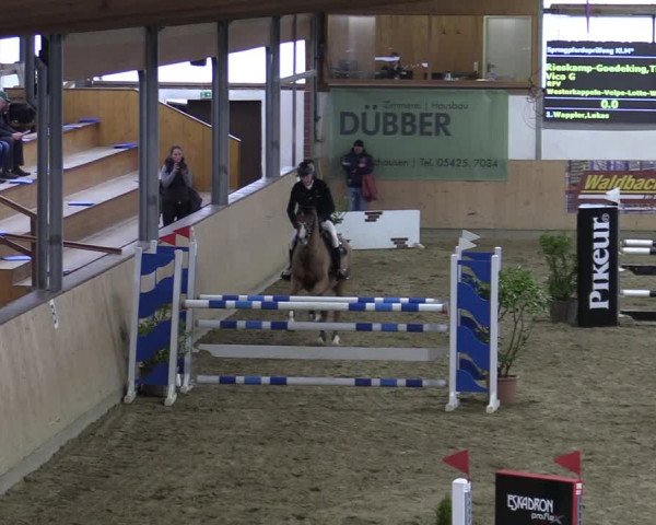 Reitturnier Borgholzhausen-Westbarthausen 2022