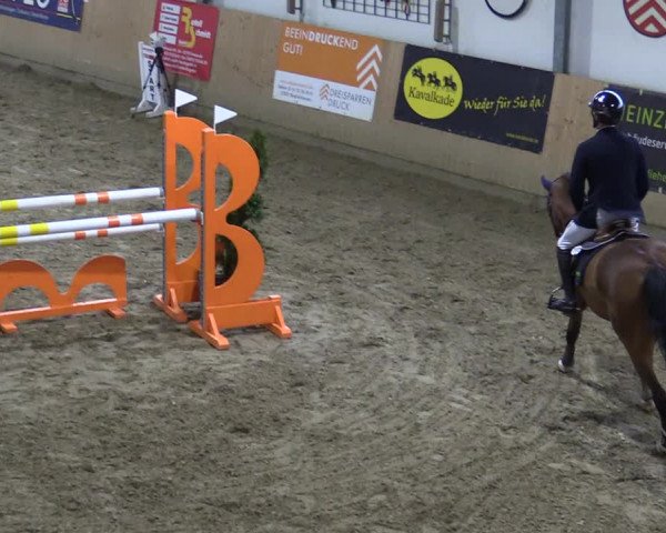 Reitturnier Borgholzhausen-Westbarthausen 2022