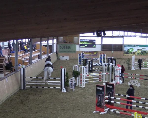 Reitturnier Borgholzhausen-Westbarthausen 2022