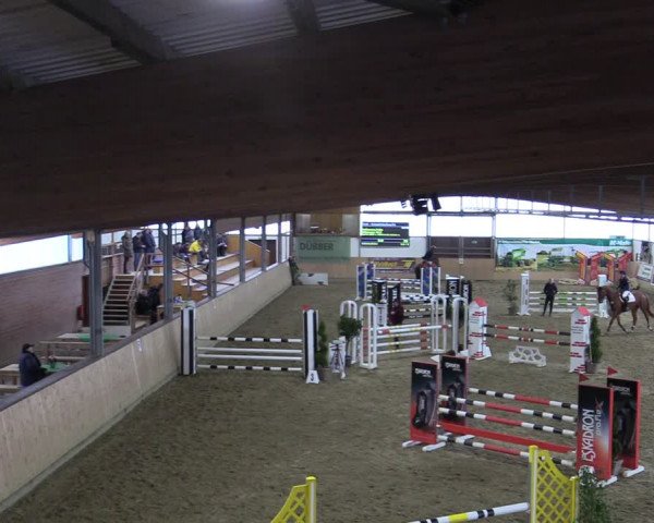 Reitturnier Borgholzhausen-Westbarthausen 2022