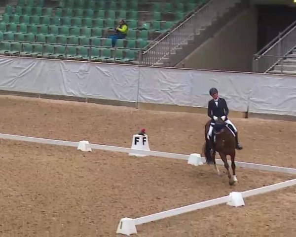 Reitturnier Kreuth/Opf. 2022