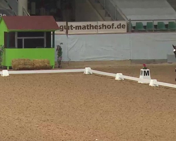 Reitturnier Kreuth/Opf. 2022