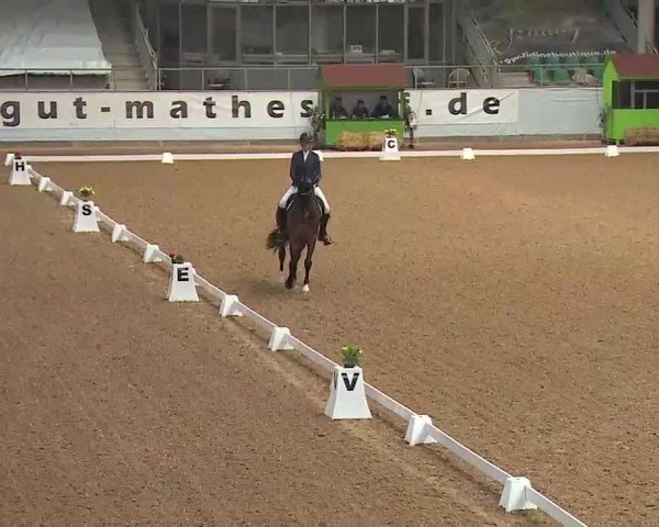 Reitturnier Kreuth/Opf. 2022