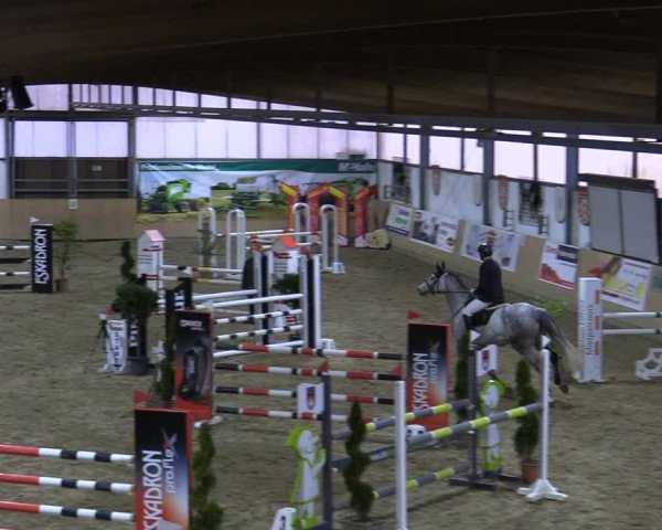 Reitturnier Borgholzhausen-Westbarthausen 2022