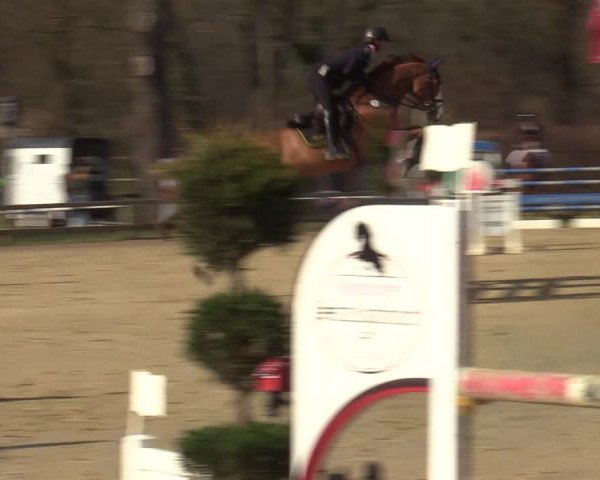 Reitturnier Münster-Handorf | Late Entries 2022