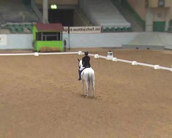 Reitturnier Kreuth/Opf. 2022