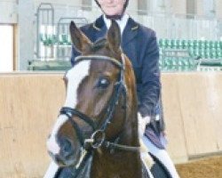 dressage horse DSP Dos Lados (German Sport Horse, 2008, from Don Diamond)