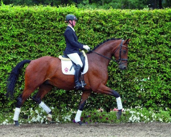 horse Epsom (Westphalian, 2010, from Ehrentanz I)