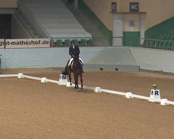 Reitturnier Kreuth/Opf. 2022