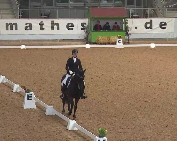 Reitturnier Kreuth/Opf. 2022