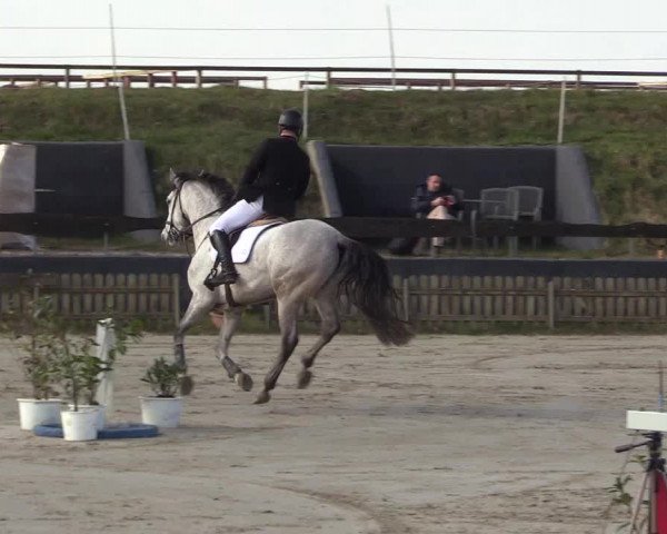 Reitturnier Schülp / Rendsburg 2022