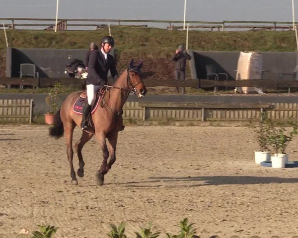Reitturnier Schülp / Rendsburg 2022