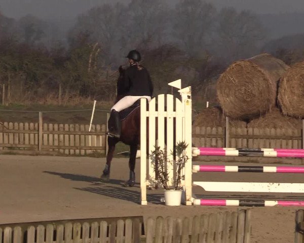 Reitturnier Schülp / Rendsburg 2022