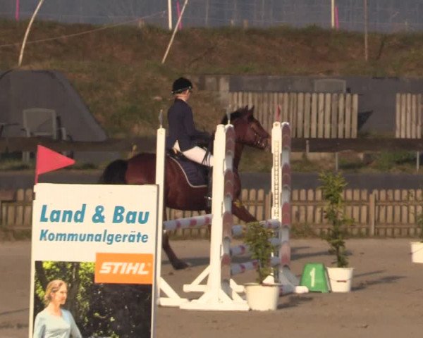 Reitturnier Schülp / Rendsburg 2022