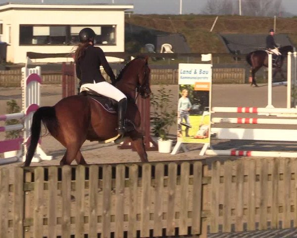 Reitturnier Schülp / Rendsburg 2022