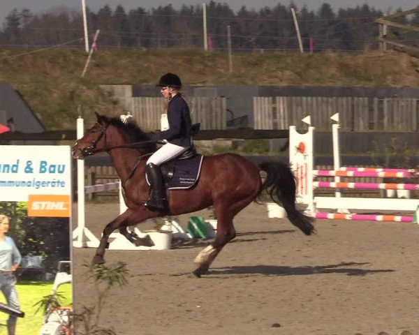 Reitturnier Schülp / Rendsburg 2022
