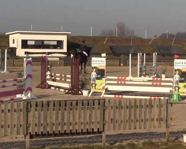 Reitturnier Schülp / Rendsburg 2022