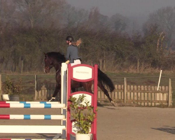 Reitturnier Schülp / Rendsburg 2022
