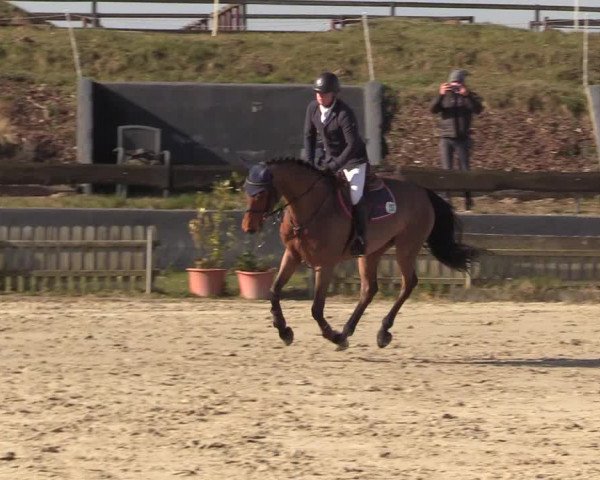 Reitturnier Schülp / Rendsburg 2022