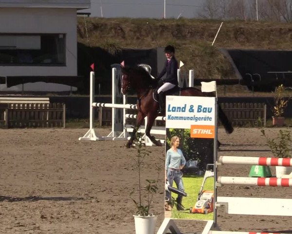 Reitturnier Schülp / Rendsburg 2022
