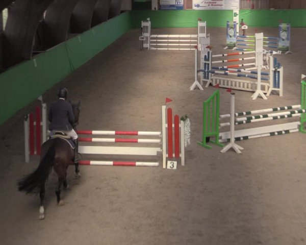 Reitturnier Krumke 2022