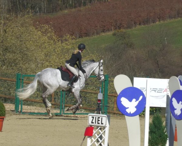 Reitturnier Lindlar-Süttenbach 2022