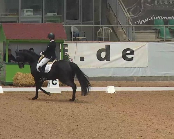 Reitturnier Kreuth/Opf. 2022