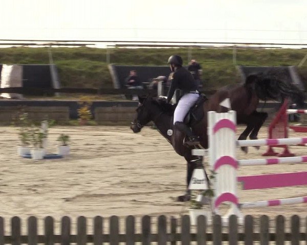 Reitturnier Schülp / Rendsburg 2022