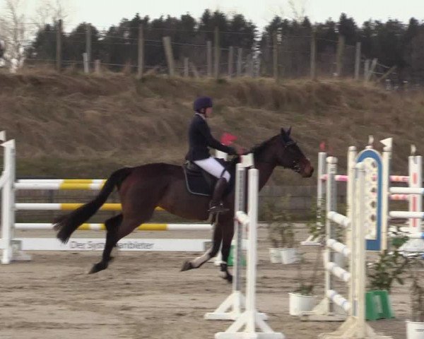 Reitturnier Schülp / Rendsburg 2022