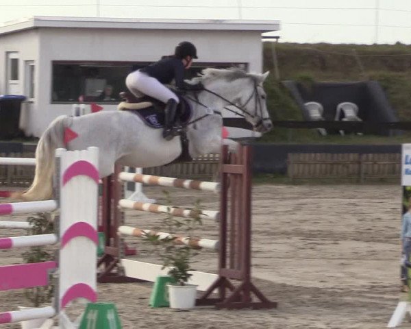 Reitturnier Schülp / Rendsburg 2022