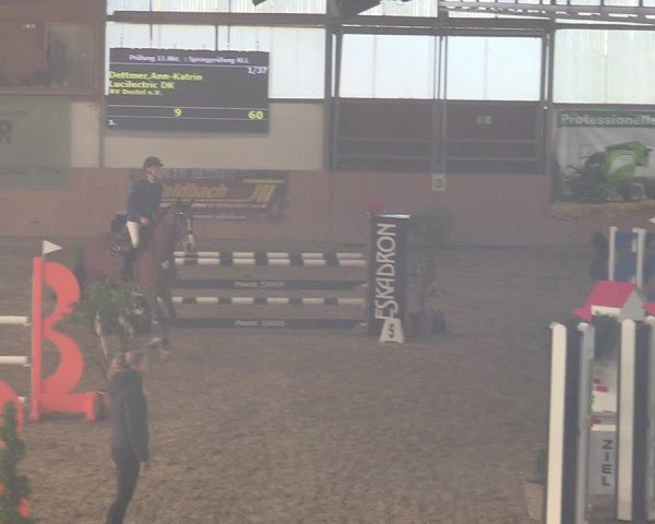 Reitturnier Borgholzhausen-Westbarthausen 2022