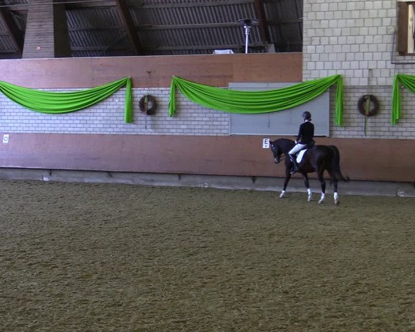 Reitturnier Hellefeld 2022