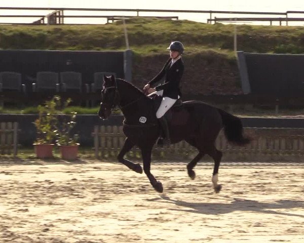 Reitturnier Schülp / Rendsburg 2022