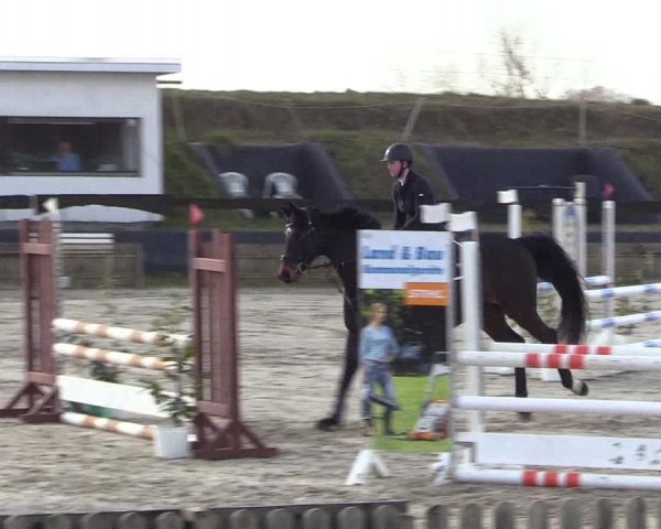 Reitturnier Schülp / Rendsburg 2022