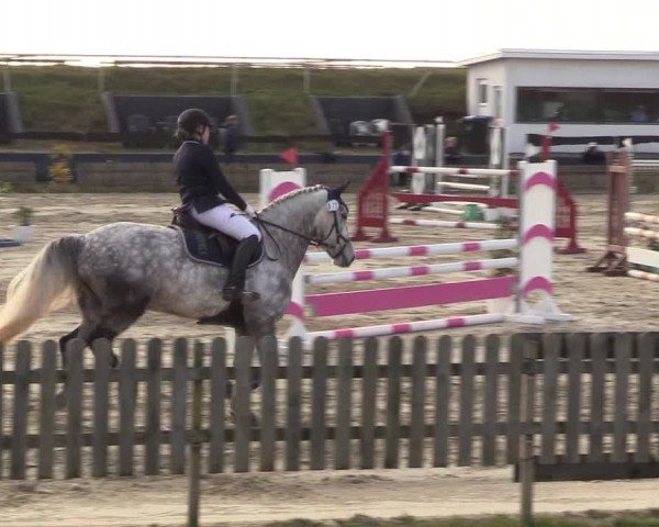 Reitturnier Schülp / Rendsburg 2022