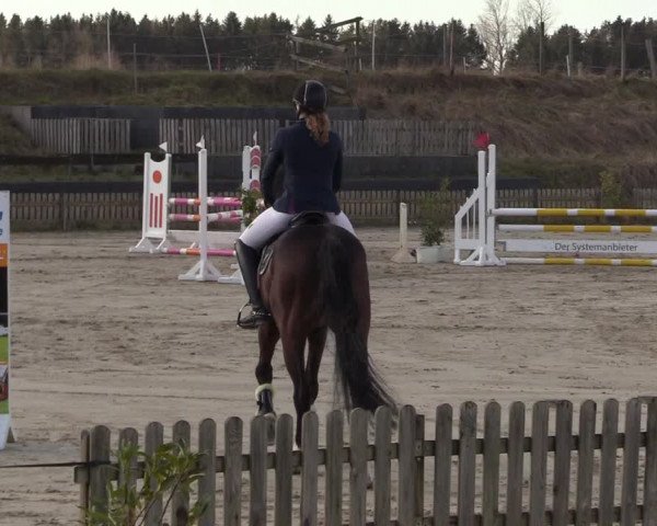 Reitturnier Schülp / Rendsburg 2022