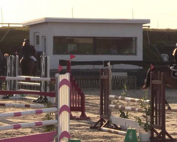 Reitturnier Schülp / Rendsburg 2022