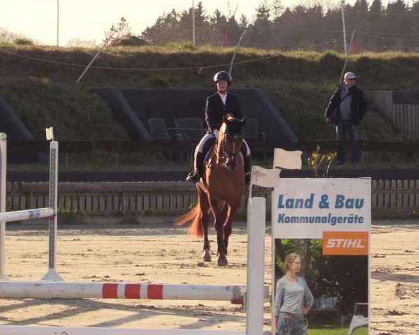 Reitturnier Schülp / Rendsburg 2022